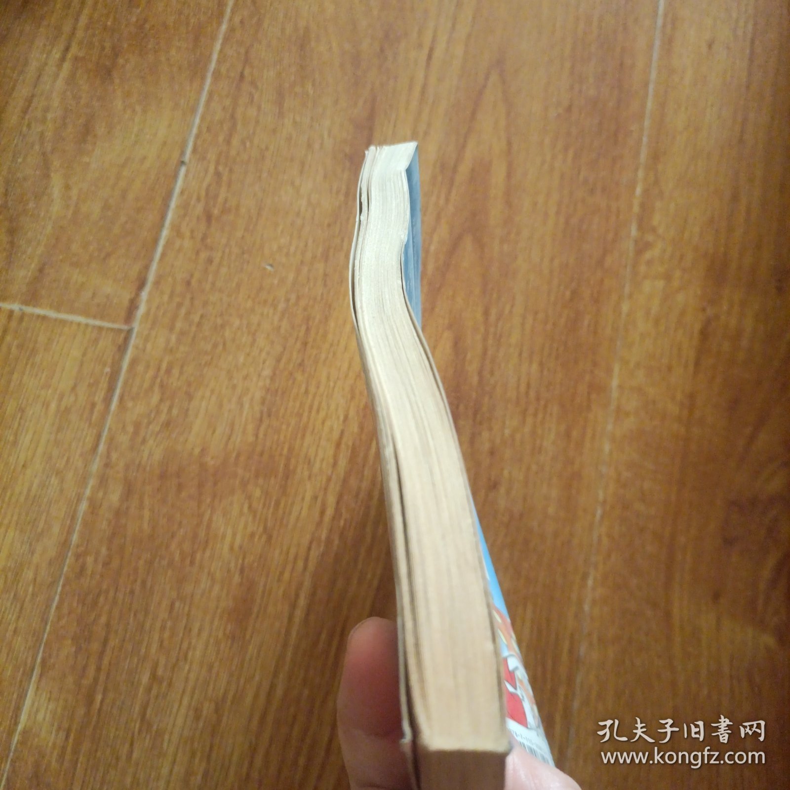 终极米迷口袋书：疯狂游戏