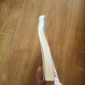 终极米迷口袋书：疯狂游戏