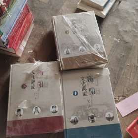 衡陽文化源流 上中下 全三冊 塑封全新