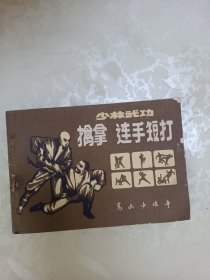 少林武功 擒拿 连手短打