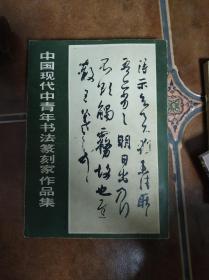 中国现代中青年书法篆刻家作品集 有藏书人书法漂亮