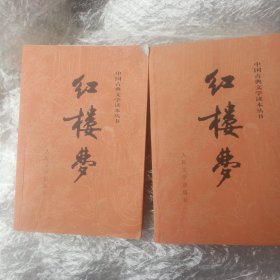 红楼梦，上下