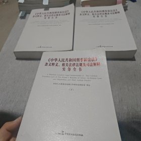 中华人民共和国刑事诉讼法条文释义、相关法律法规及司法解释实务全书（上中下）