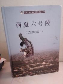 宁夏文物考古研究所丛刊（24）：西夏六号陵