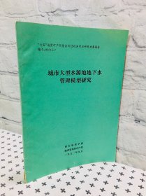 城市大型水源地地下水管理模型研究