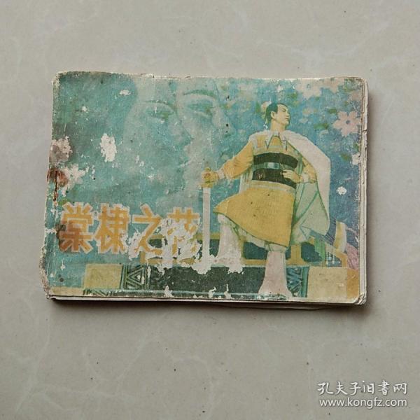 棠棣之花 连环画