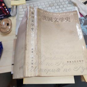 俄国文学史 品如图