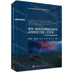 低滲-超低滲油藏提高儲(chǔ)量動(dòng)用程度關(guān)鍵工藝技術(shù)--以鄂爾多斯盆地為例(精)/低滲-超低滲油藏有效開發(fā)關(guān)鍵技術(shù)叢書
