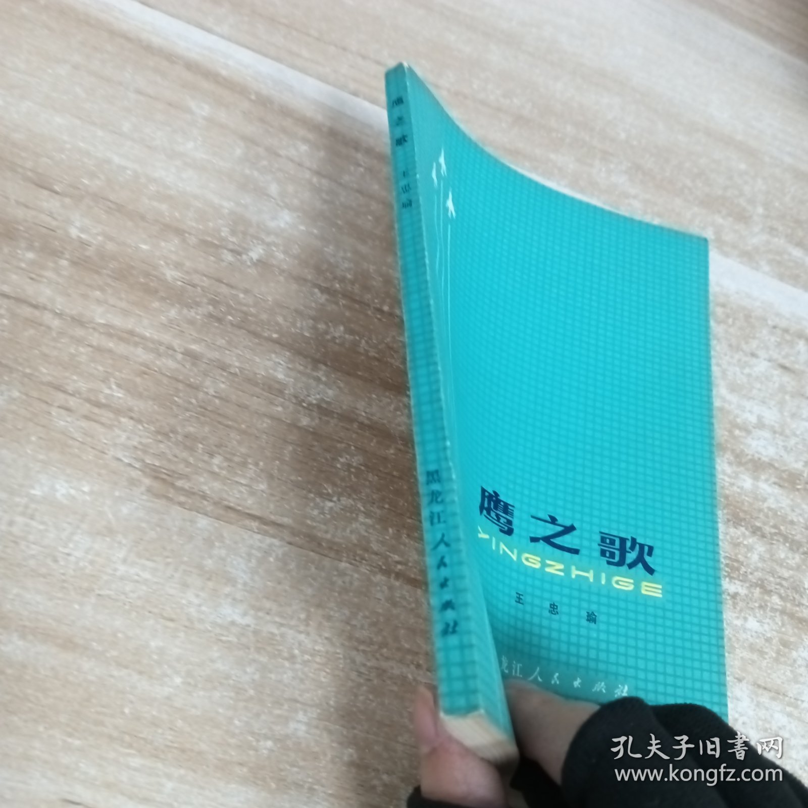 点击查看原图 雪风飞尖,鹰之歌