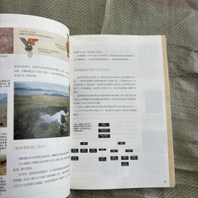 通俗易懂的韩国史