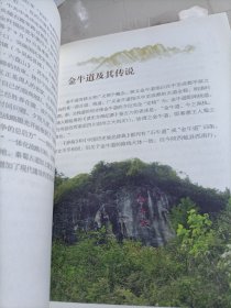 道汇长安 秦岭古道文化地理之旅/华夏龙脉秦岭书系