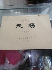 电影台本完成台本电影角本（天赐）