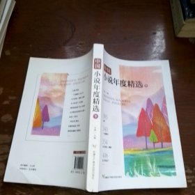中国小说年度精选下
