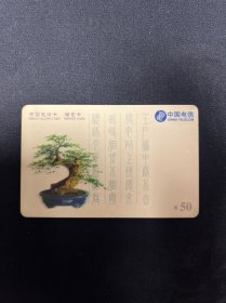 中国电信 ic电话卡