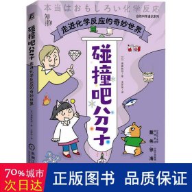 碰撞吧分子：走进化学反应的奇妙世界  斋藤胜裕