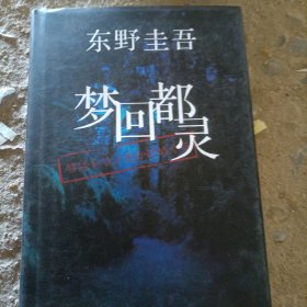 梦回都灵：东野圭吾悬疑系列