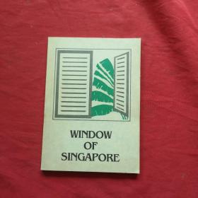 WINDOW OF SINGAPORE