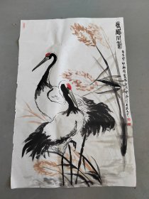 蔡宽畅14