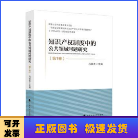 知识产权制度中的公共领域问题研究（第1卷）