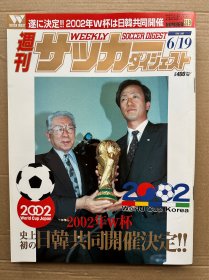 日版足球文摘1996年6月19日，品相如图。