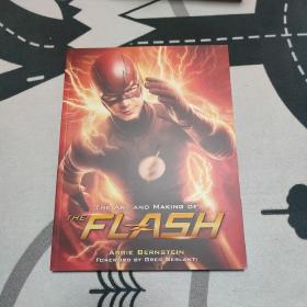 闪电侠 设定集 The Art and Making of the Flash