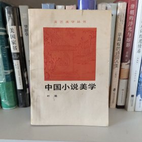 中国小说美学