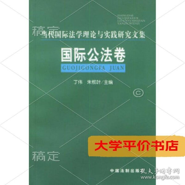 国际公法卷——当代国际法学理论与实践研究文集