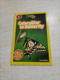 National Geographic Readers: Caterpillar to Butterfly美国《国家地理》杂志-儿童科普分级阅读,第1级：从毛毛虫到蝴蝶 英文原版