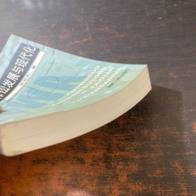 中国刑事诉讼发展与现代化