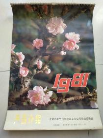 1981年挂历 （沈阳市电气控制设备工业公司销售经理部产品介绍  )