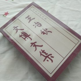 王治秋文博文集