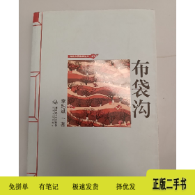 布袋溝9787535455659李旭斌著長江文藝出版社
