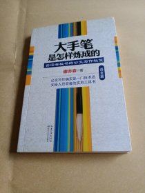 大手笔是怎样炼成的·语言篇