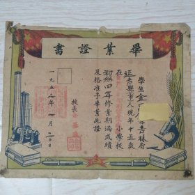 毕业证书（1952年）