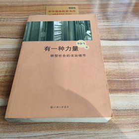 有一种力量：转型社会的法治细节