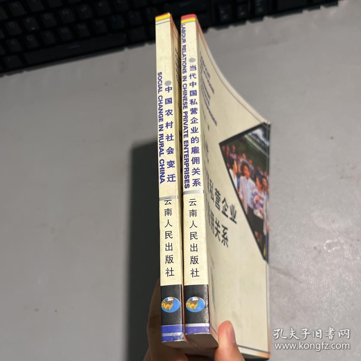 当代中国私营企业的雇佣关系+中国农村社会变迁 王春光 云南人民出版社
