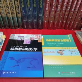 动物解剖彩色图谱十动物解剖组织学