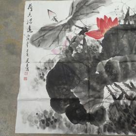 陈廷友荷花