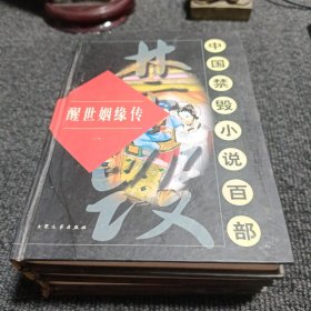中国禁毁小说百部(醒世姻缘传 全4册