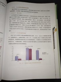 松南火山岩气田高效开发技术与实践