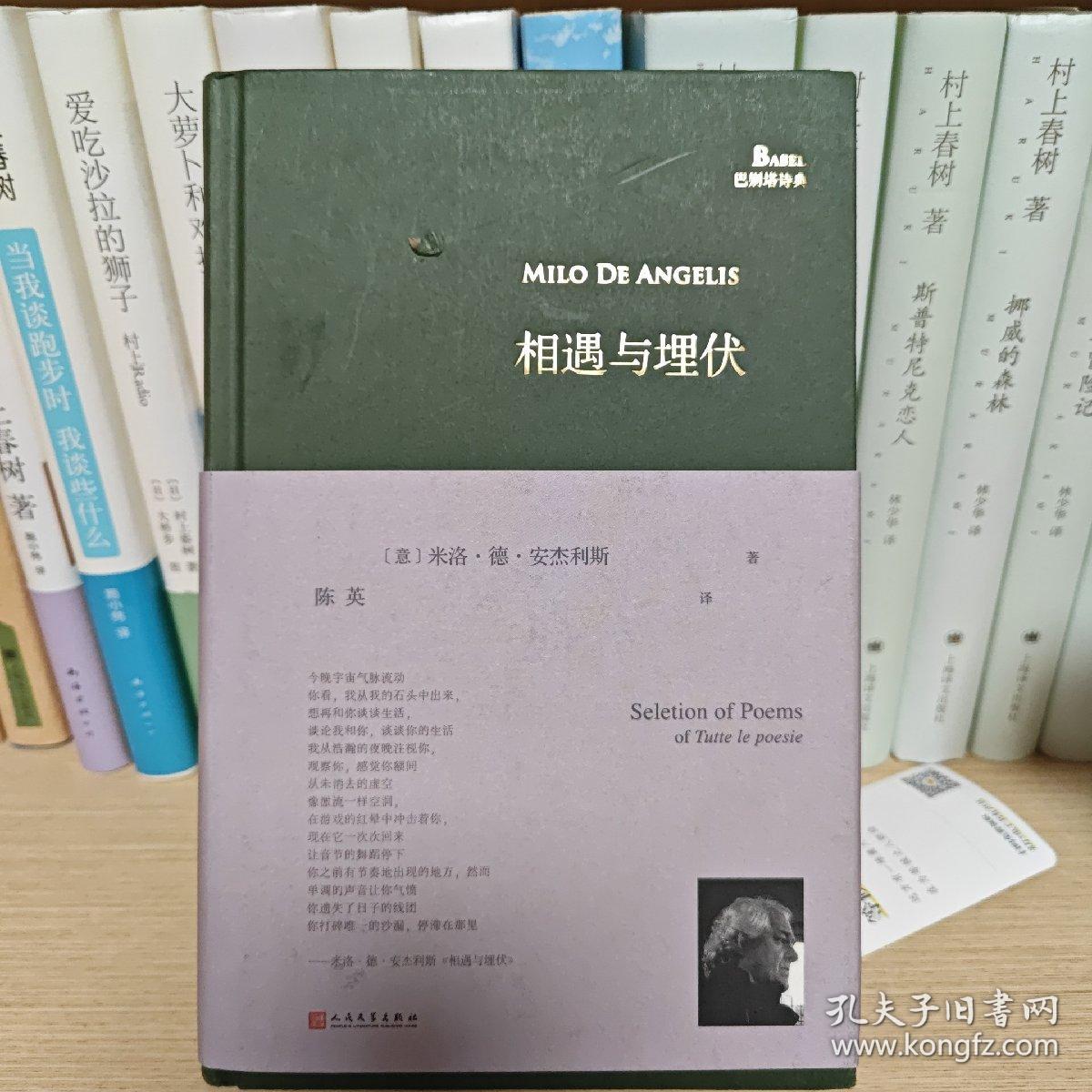 相遇与埋伏（意大利诗人首部中译诗集，蒙达多里出版社独家授权，“那不勒斯四部曲”译者陈英教授倾情翻译）