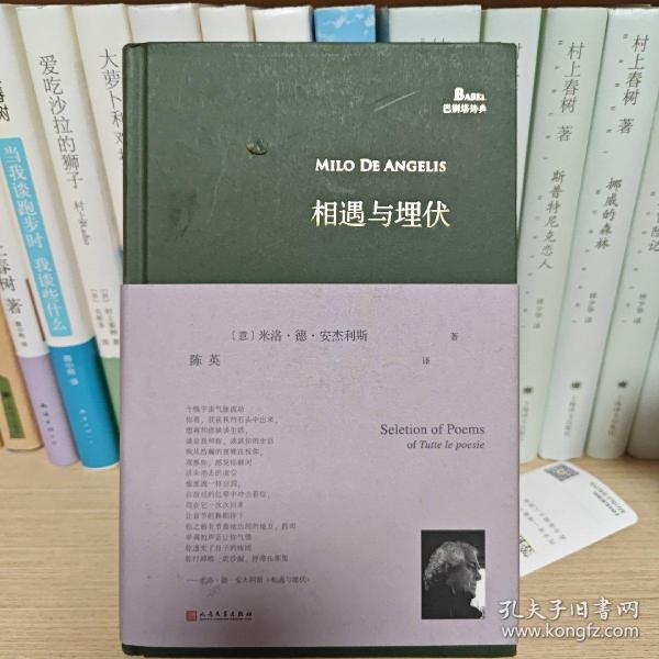 相遇与埋伏（意大利诗人首部中译诗集，蒙达多里出版社独家授权，“那不勒斯四部曲”译者陈英教授倾情翻译）