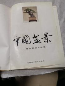 中国盆景佳作欣赏与技艺