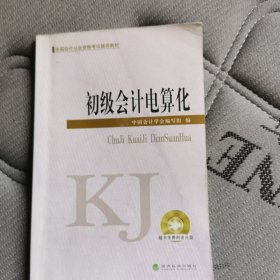 初级会计电算化