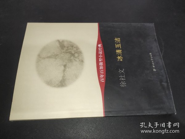 百年百部微型小说经典：冰清玉洁