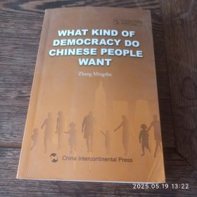 中国人想要什么样的民主