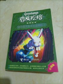 【接近全新】鸡皮疙瘩系列丛书：诡异魔术兔•厄运相机2