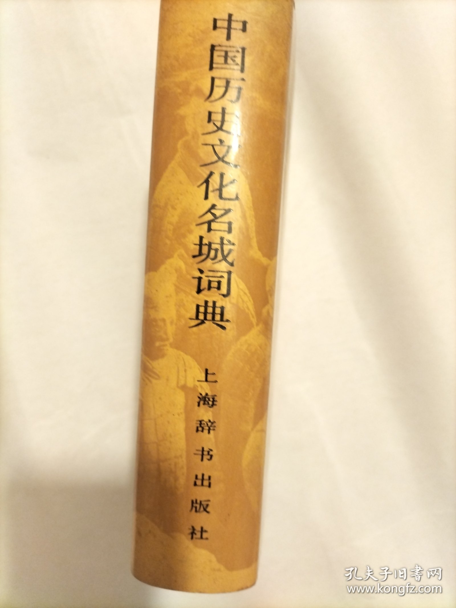 中国历史文化名城词典