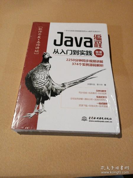 Java编程从入门到实践（微课视频版）