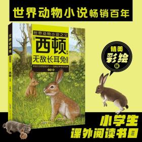 世界动物小说:无敌长耳兔